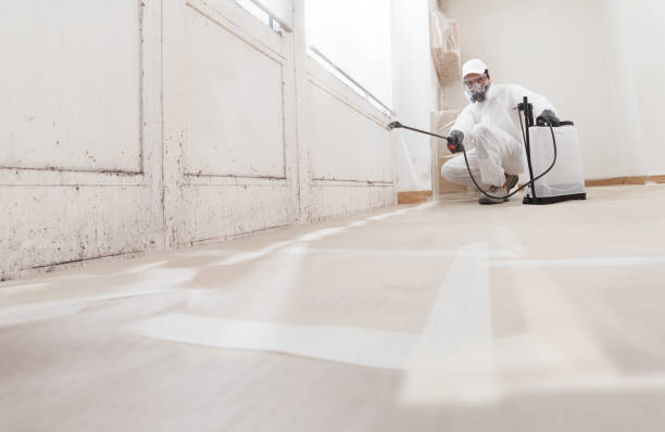 24/7 Emergency Mold Cleanup experts in Willingboro, NJ